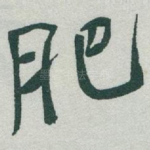 肥
