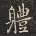 体