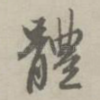 体