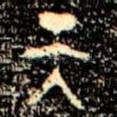 天