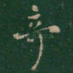 奇