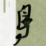 鸟