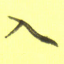 入