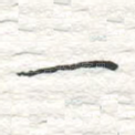一