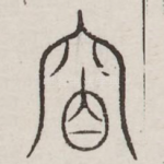 穆