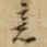 意