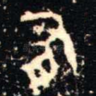 有