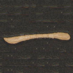 一
