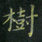 树