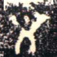 文