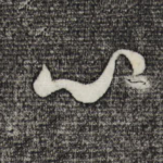 心