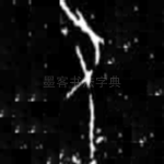 又