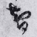 智