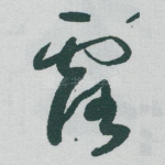 露