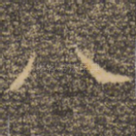 八