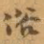 俗