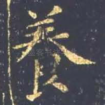养