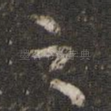 之