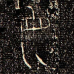 母