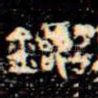 毊