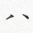 八