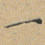 一