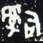 司