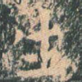 生
