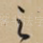 之