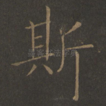 斯