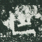 世