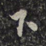 下