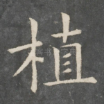 植