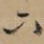 下