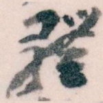 體