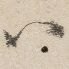 八