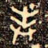 奉