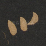曰