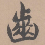 齿