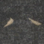 八