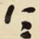 令