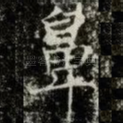 鼻