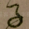 子