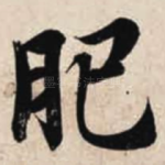 肥