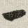 一