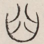 齿