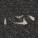心