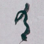 有