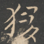 猿