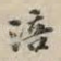 涪